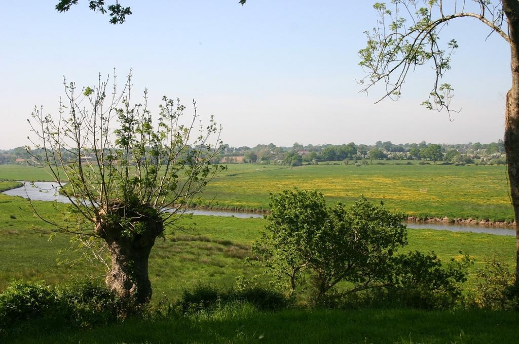 Gite Marguerite Les Moitiers-en-Bauptois Esterno foto