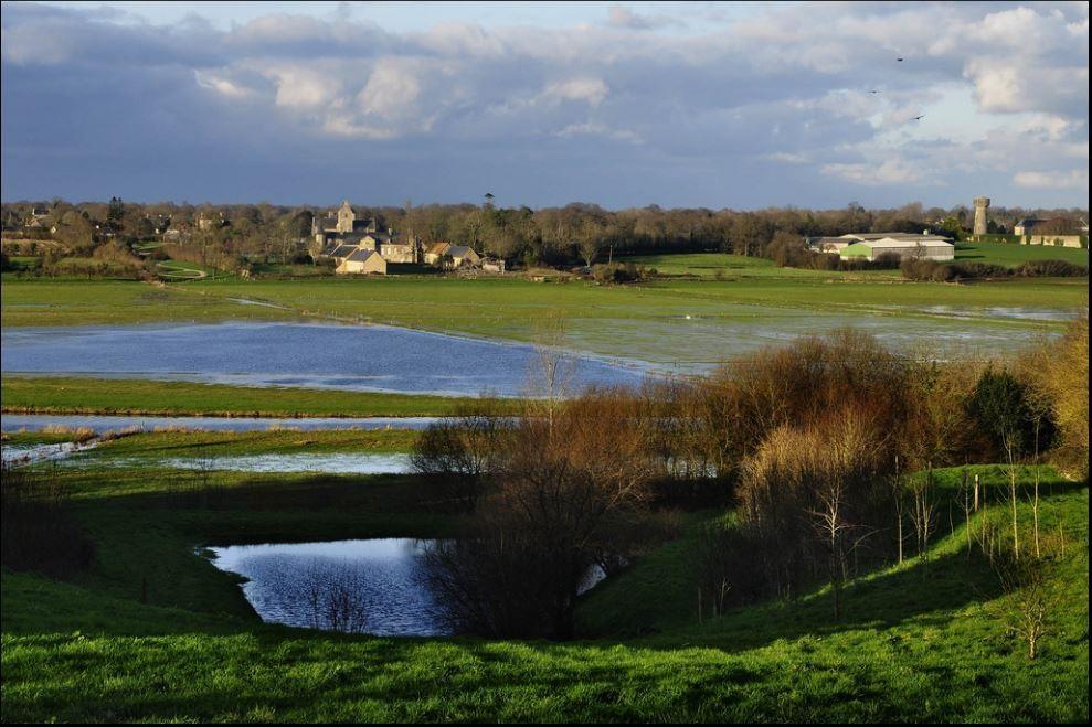 Gite Marguerite Les Moitiers-en-Bauptois Esterno foto